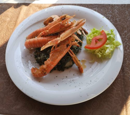 Grilled shrimps served on white plate with salad.